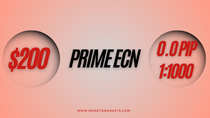 حساب‌های مونتا مارکتس