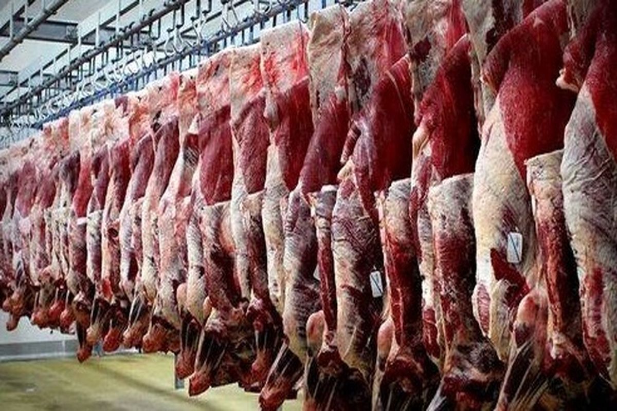 گرانی قیمت گوشت صدای نمایندگان را هم درآورد