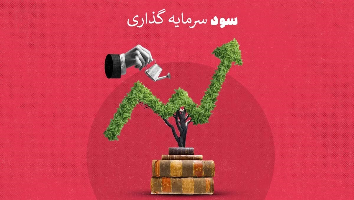 سود در سرمایه گذاری