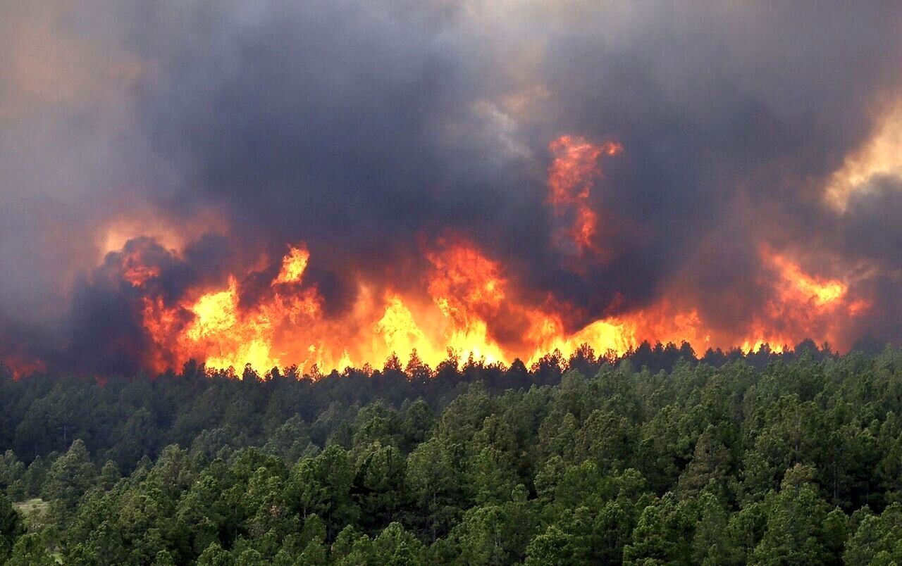 احتمال آتش‌سوزی در مناطق جنگلی آستارا