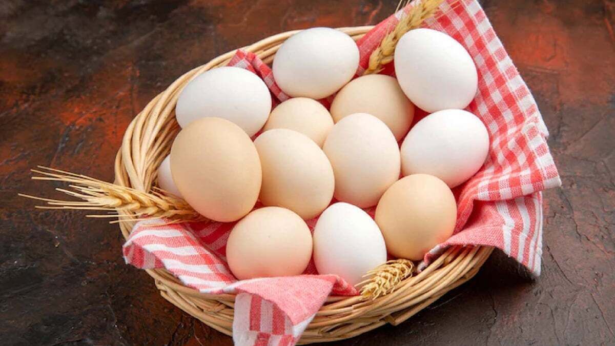 قیمت تخم مرغ امروز ۲۶ دی ۱۴۰۲+ جدول