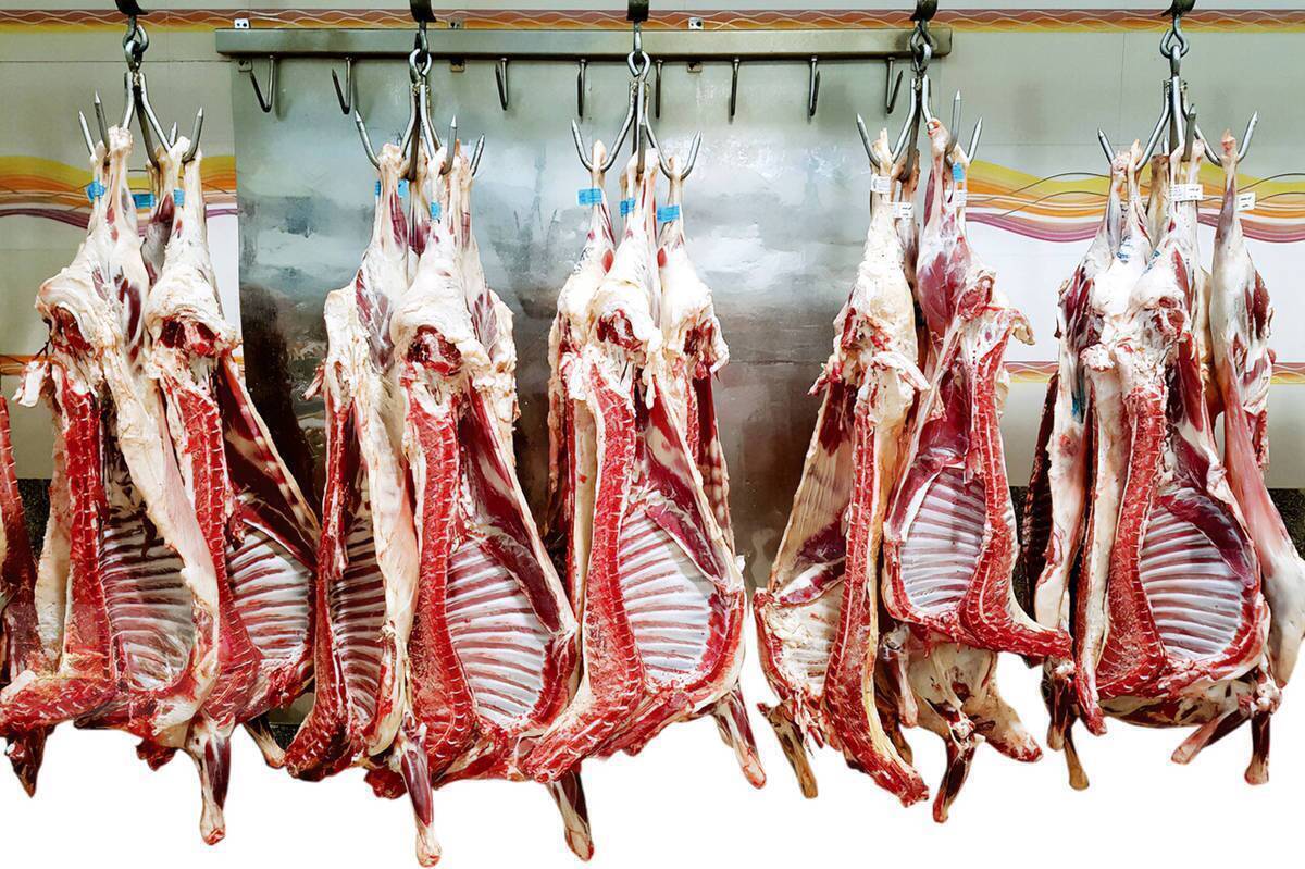 اعلام قیمت جدید گوشت منجمد وارداتی