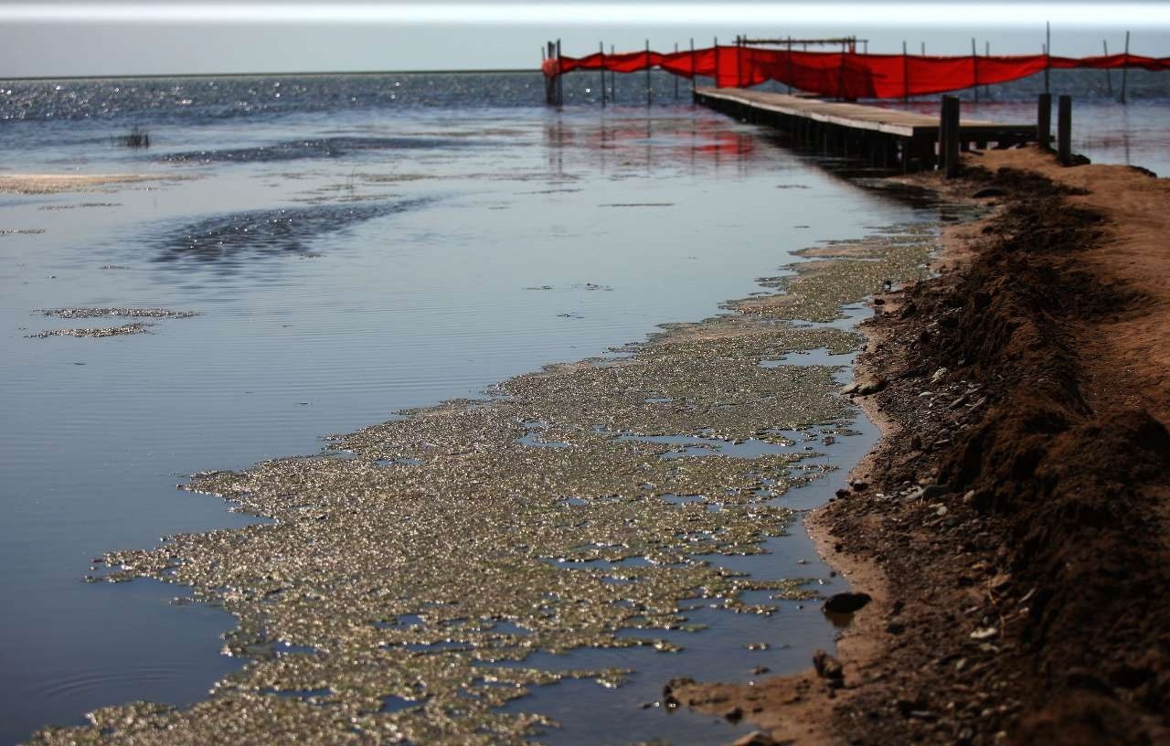 هشدار وزیر کشور درباره خشک شدن آب دریای خزر