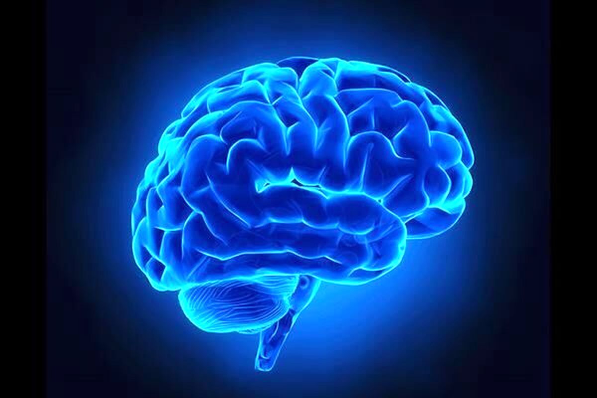 کمبود این ویتامین مغز را کوچک میکند کمبود این ویتامین مغز را کوچک میکند