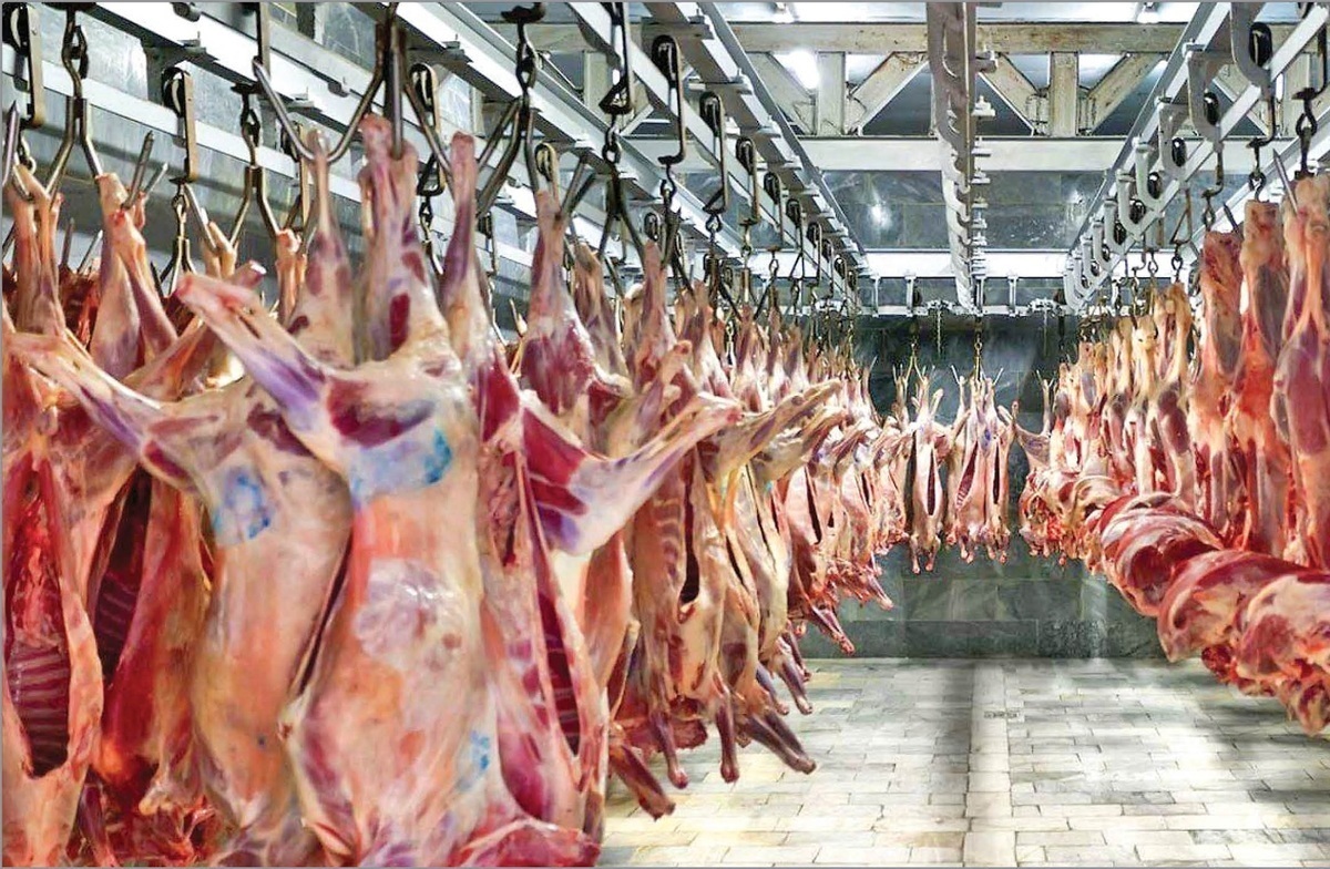 یک پیش بینی مهم درباره قیمت گوشت در بازار