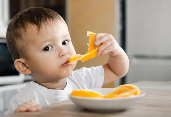 ۱۰ غذای ضروری و مغذی برای افزایش سلامت و هوش کودکان