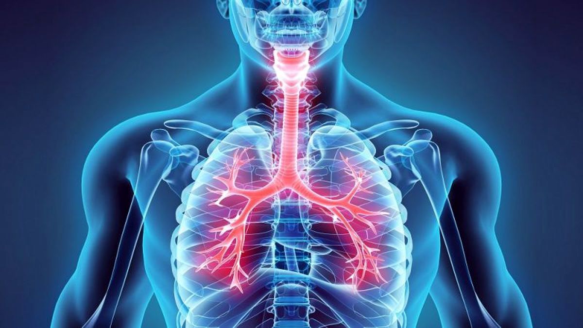 بیماریهای تنفسی بیماریهای تنفسی