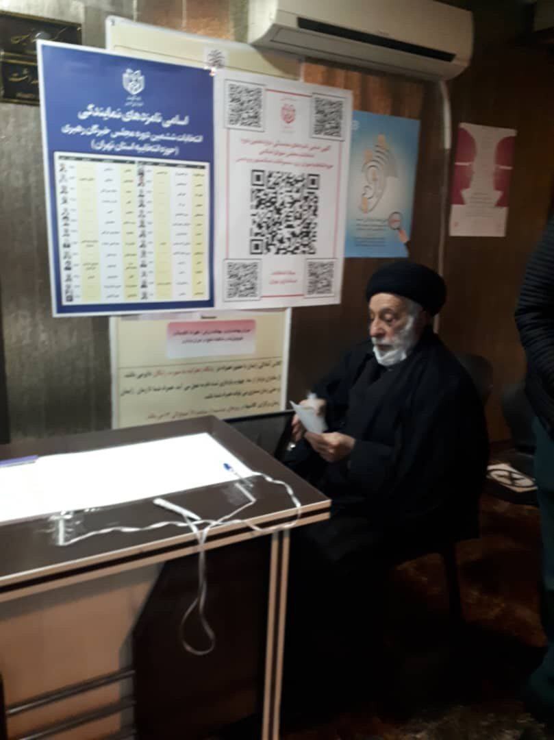 سید هادی خامنه‌ای در شعبه اخذ رای
