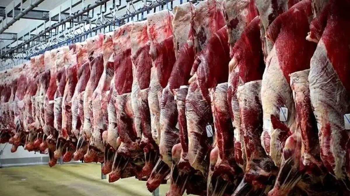 قیمت جدید گوشت گوسفندی امروز ۲۷ اسفند ۱۴۰۲+جدول