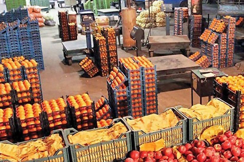 اعلام قیمت انواع میوه در میادین در آستانه سال نو