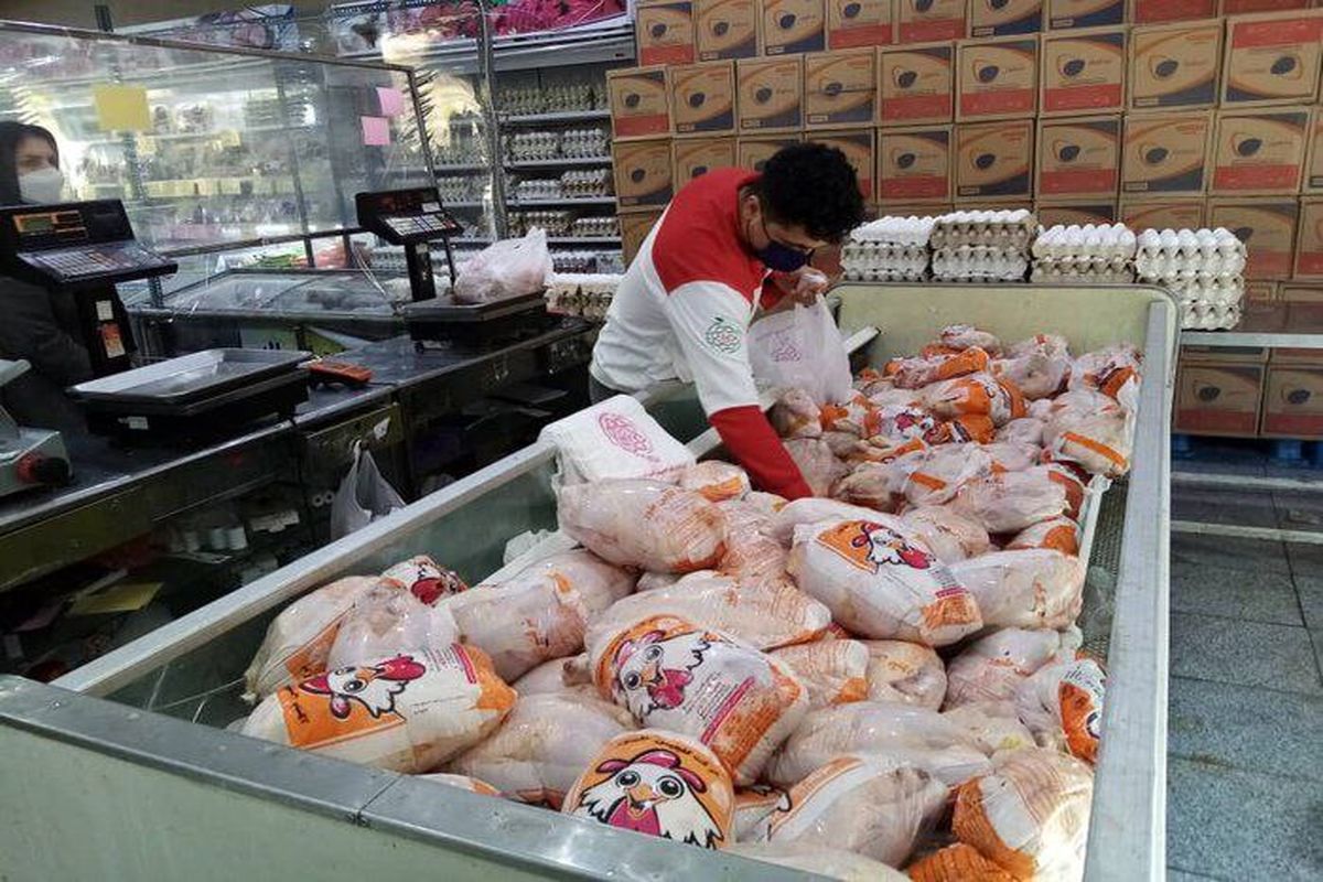 قیمت انواع مرغ امروز ۲۳ اردیبهشت ۱۴۰۲