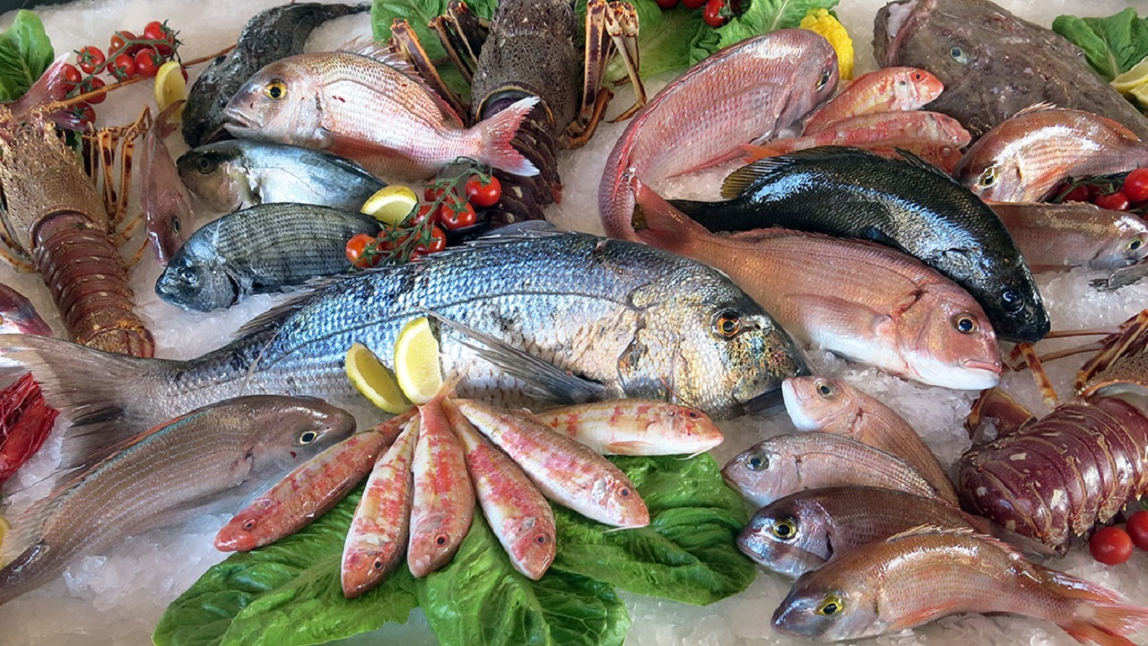 قیمت انواع ماهی امروز ۲۴ اردیبهشت ۱۴۰۲
