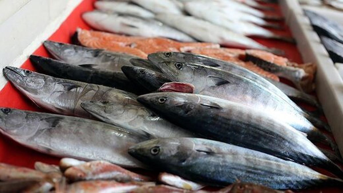 قیمت انواع ماهی امروز ۲۵ اردیبهشت ۱۴۰۲