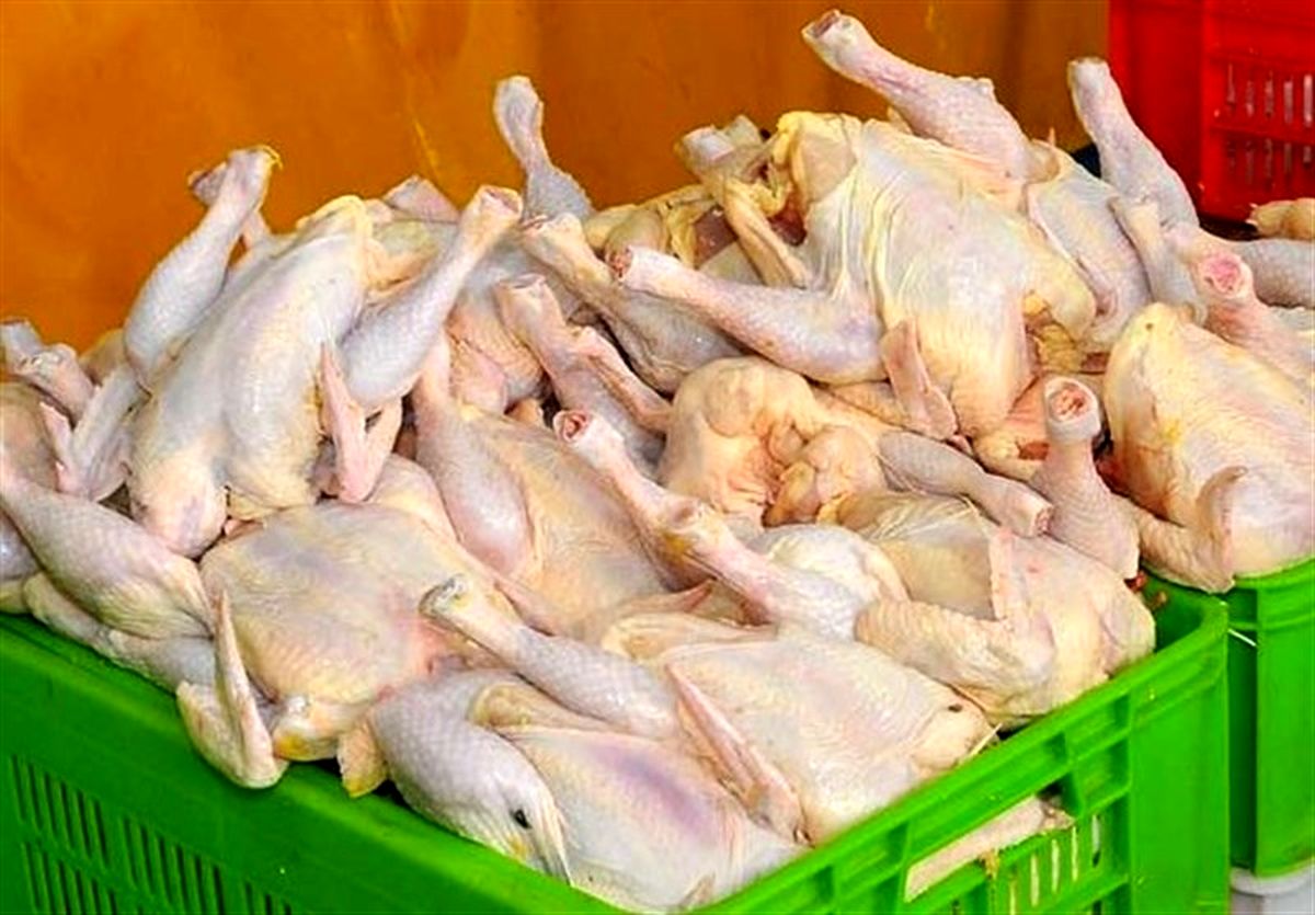 علت گرانی قیمت مرغ