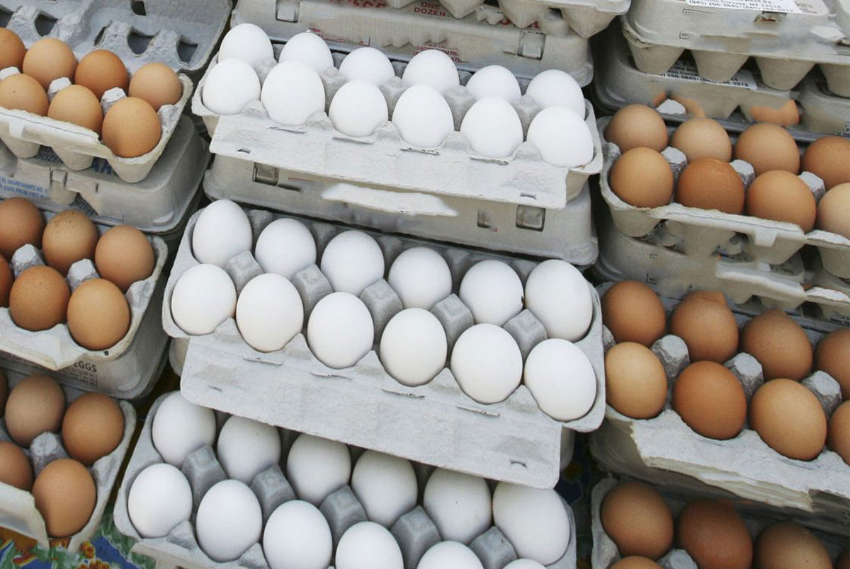 قیمت انواع تخم مرغ در بازار + جدول