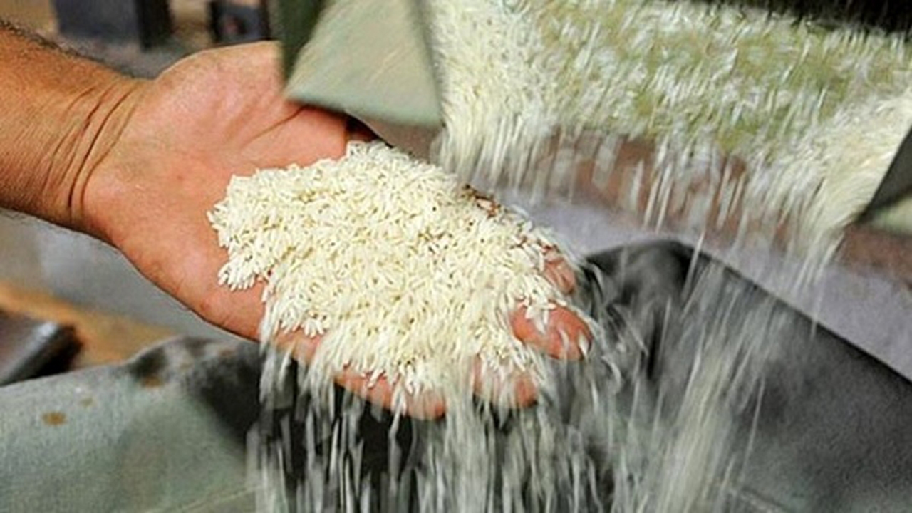 مصوبه جدید خرید تضمینی برنج پُرمحصول اعلام شد