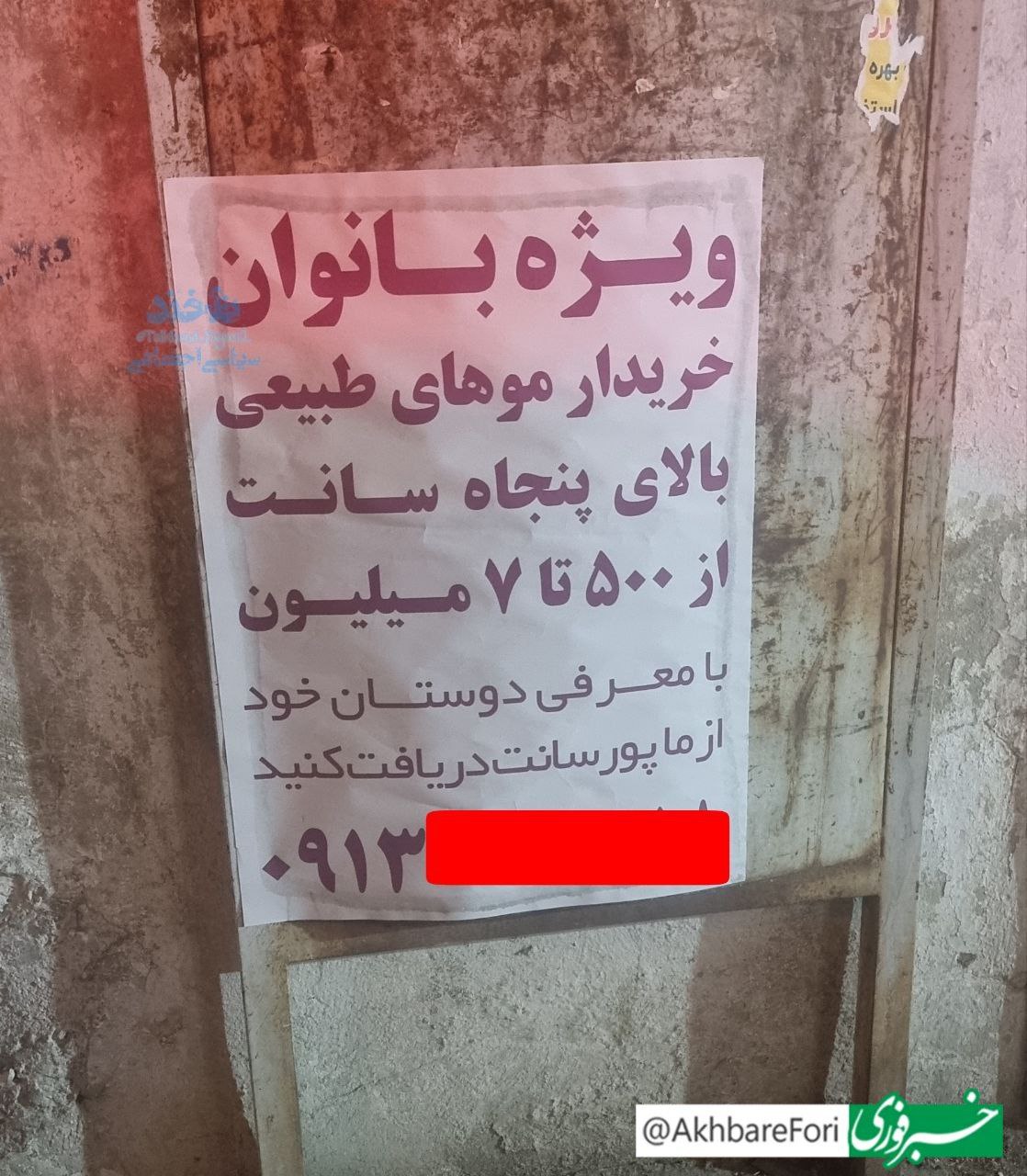 موی زنان ایرانی