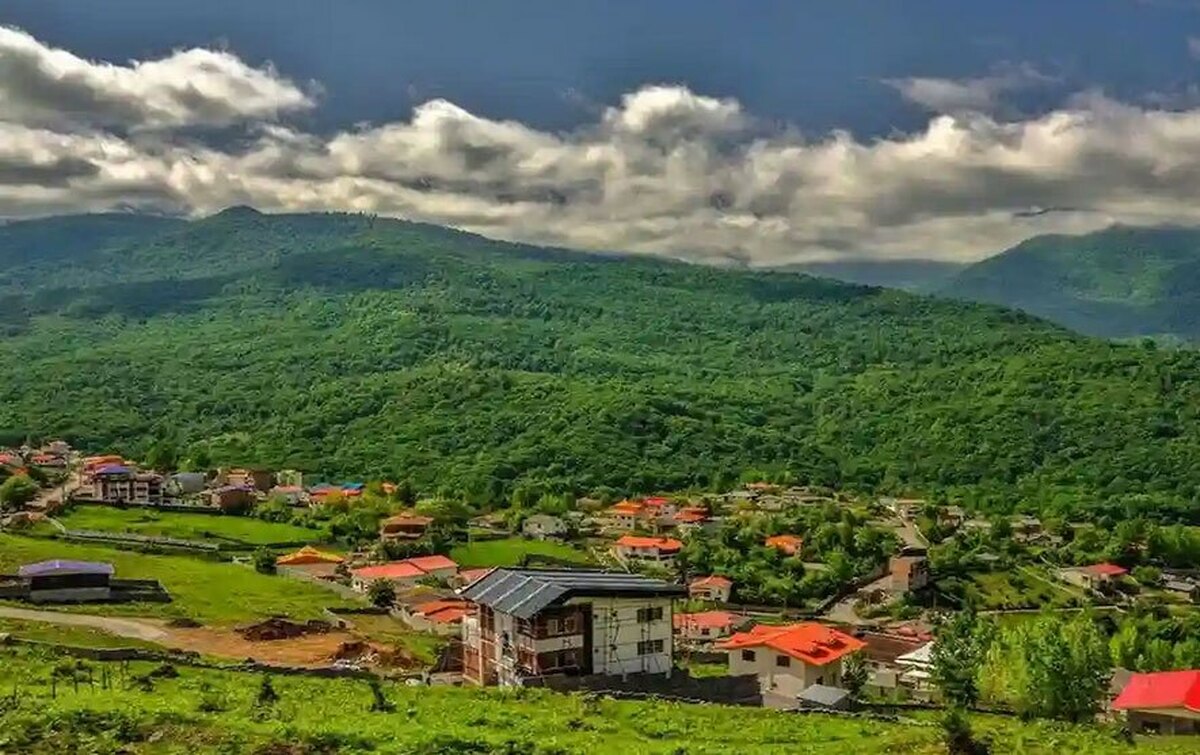 رشد عجیب مهاجرت به مازندران