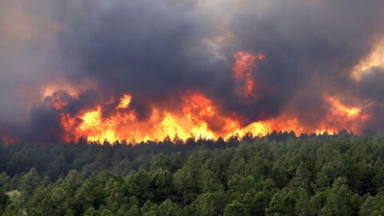 آمار‌تکان دهنده از افزایش آتش‌سوزی  در جنگل‌های ایران