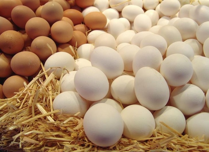 قیمت تخم‌مرغ در بازار کمتر از نرخ مصوب