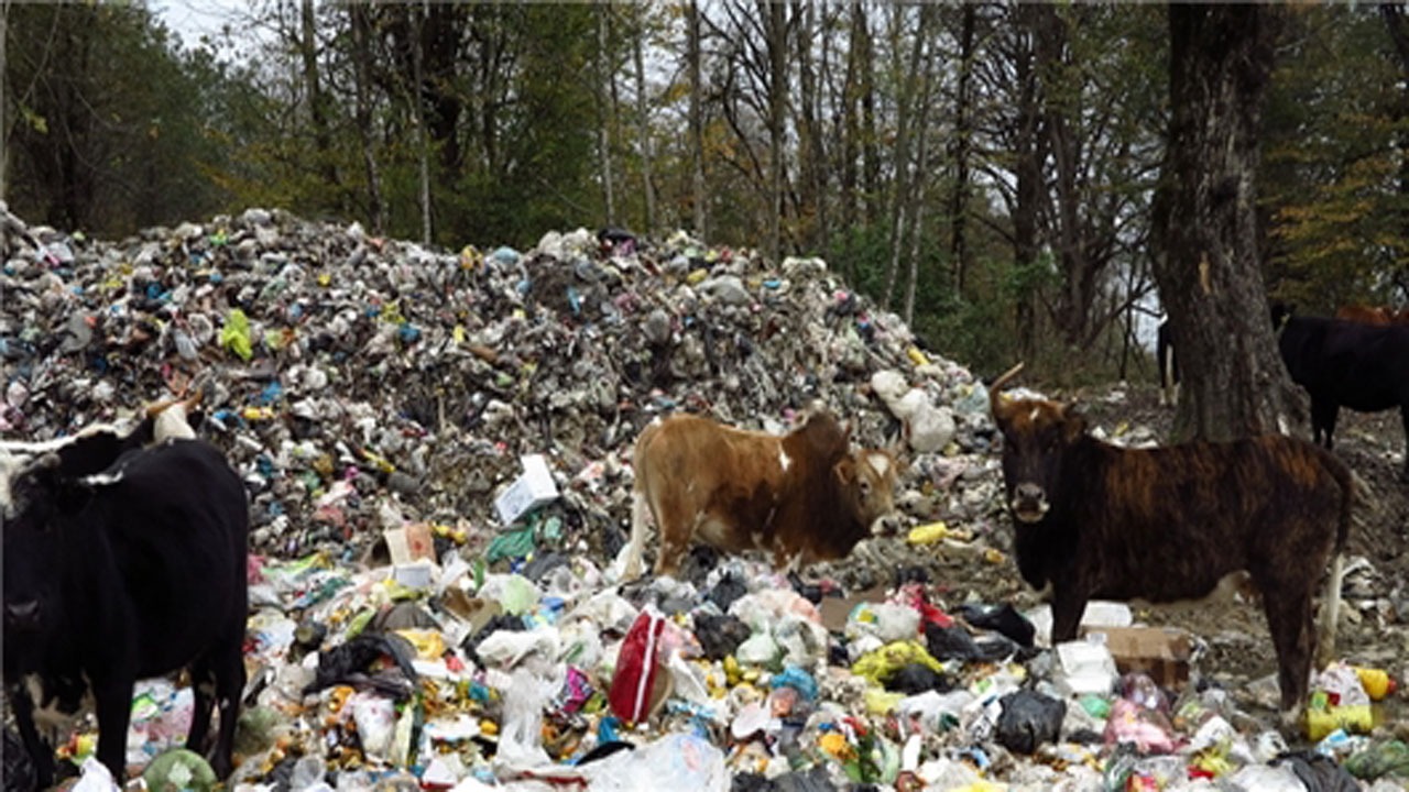 دپوی زباله در جنگل‌های انجیلسی در مازندران