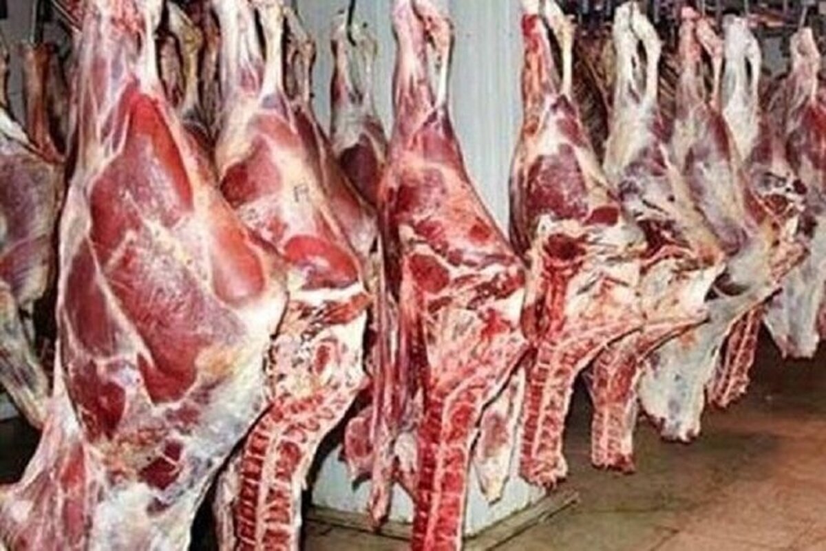 کشف تخلف گرانفروشی گوشت در فروشگاه زنجیره ای!
