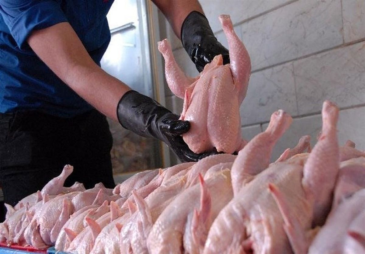 قیمت انواع گوشت مرغ در بازار+ جدول
