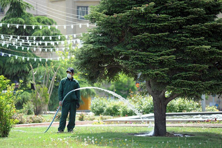 استفاده سالانه ۲۰۰ میلیون مترمکعب آب برای فضای سبز تهران!