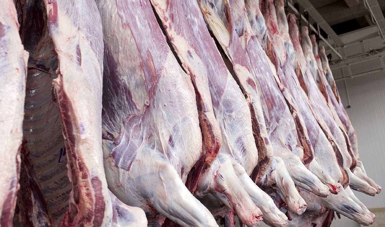 تداوم عرضه گوشت با قیمت تنظیم بازار