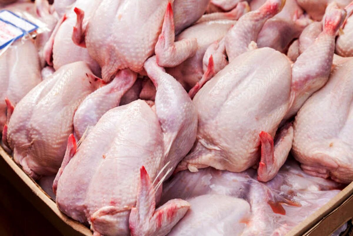 قیمت گوشت مرغ در بازار +جدول