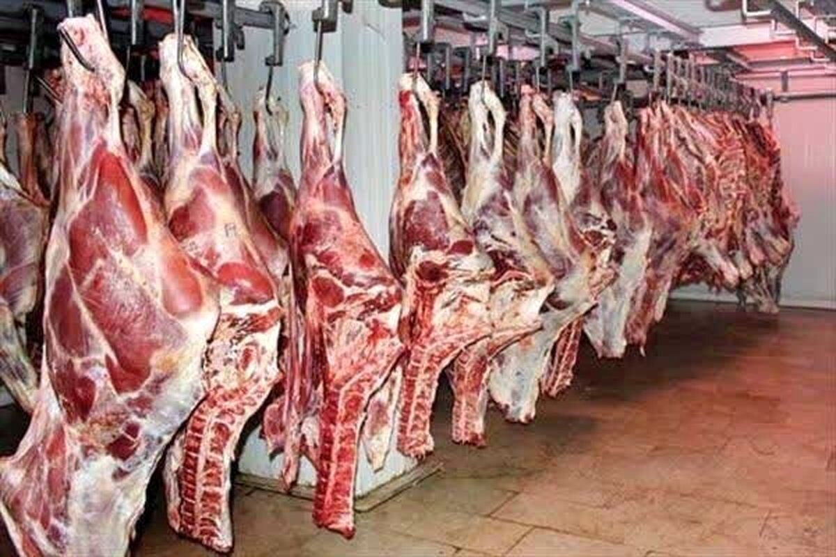 ریزش ۶۰ درصدی فروش گوشت در بازار