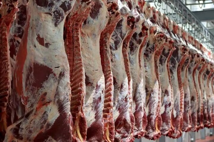 وضعیت عرضه گوشت قرمز در شهریورماه