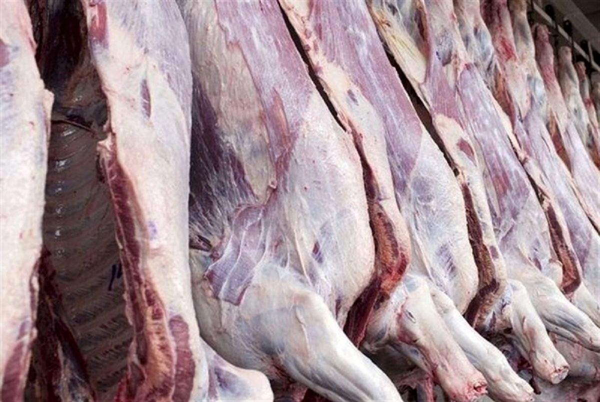 قیمت  هرکیلو شقه گوسفندی در بازار چقدر است؟