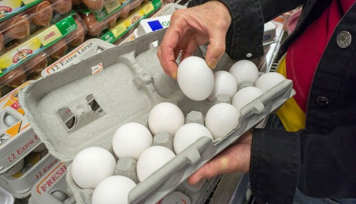 عرضه تخم مرغ کاهش یافت؟
