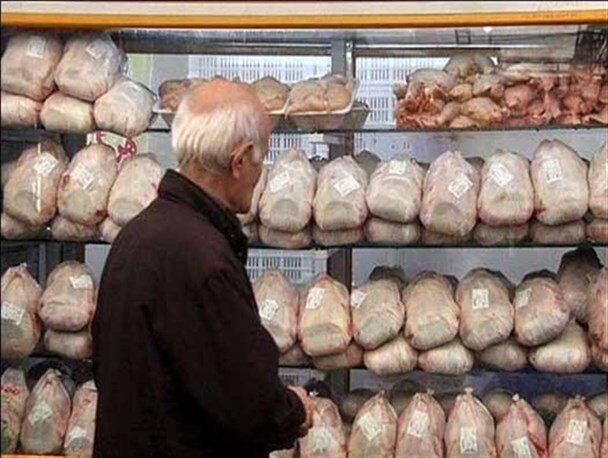 خرید نسیه مرغ