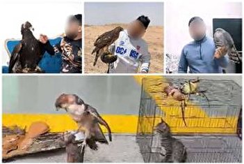 فیلم/ دکتر عقاب بازداشت شد