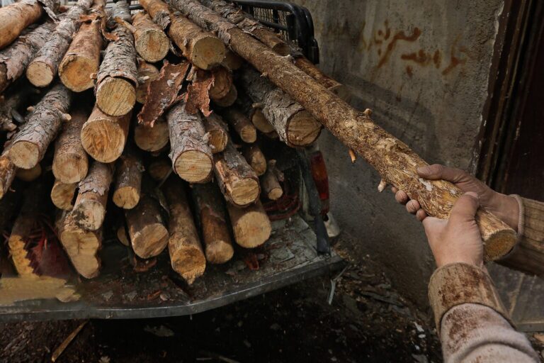 خطر ساخت پتروپالایش بیخ گوش تالاب شادگان