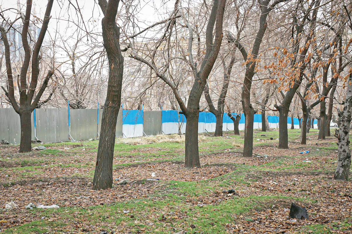 شلیک به قلب درختان پایتخت؛ قوانین باغ‌های شهر تهران را از بین بردند؟