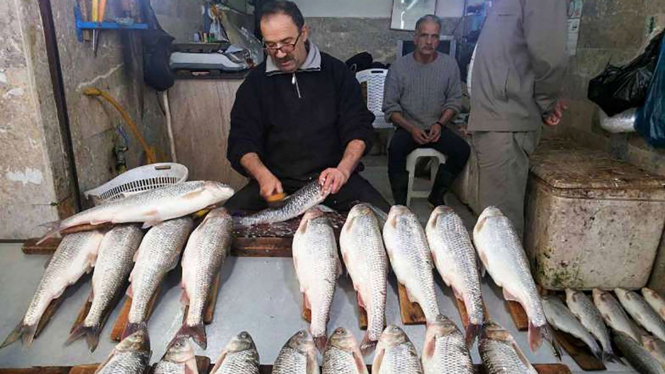 سقوط سرانه مصرف ماهی در ایران