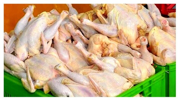 قیمت گوشت مرغ کیلویی چند؟