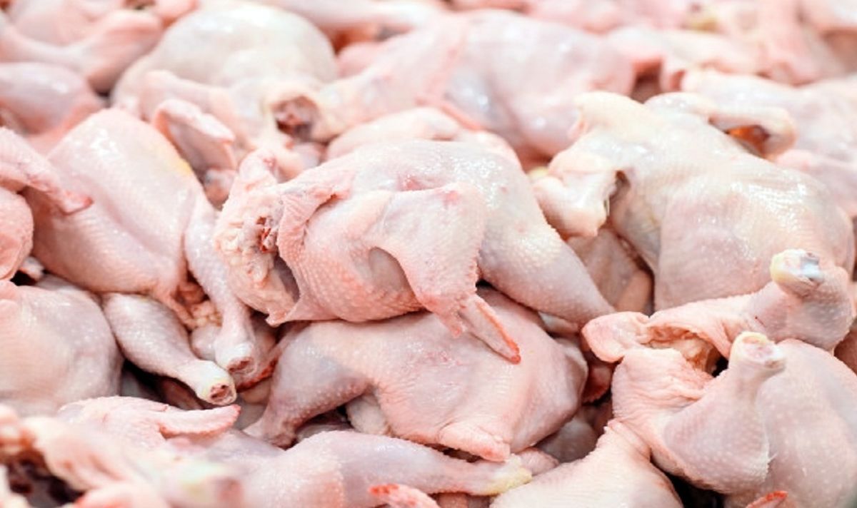 قیمت جدید گوشت مرغ در بازار + جدول