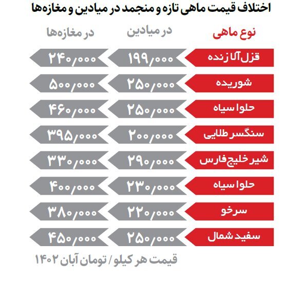 قیمت روز انواع ماهی در بازار+ جدول