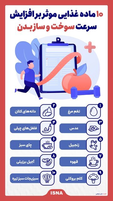 ۱۰ ماده غذایی موثر بر افزایش سرعت سوخت و ساز بدن