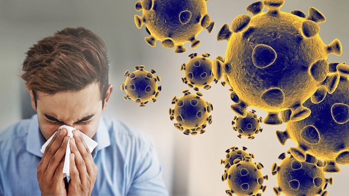 اوج بروز ویروس آنفلوآنزا در کشور