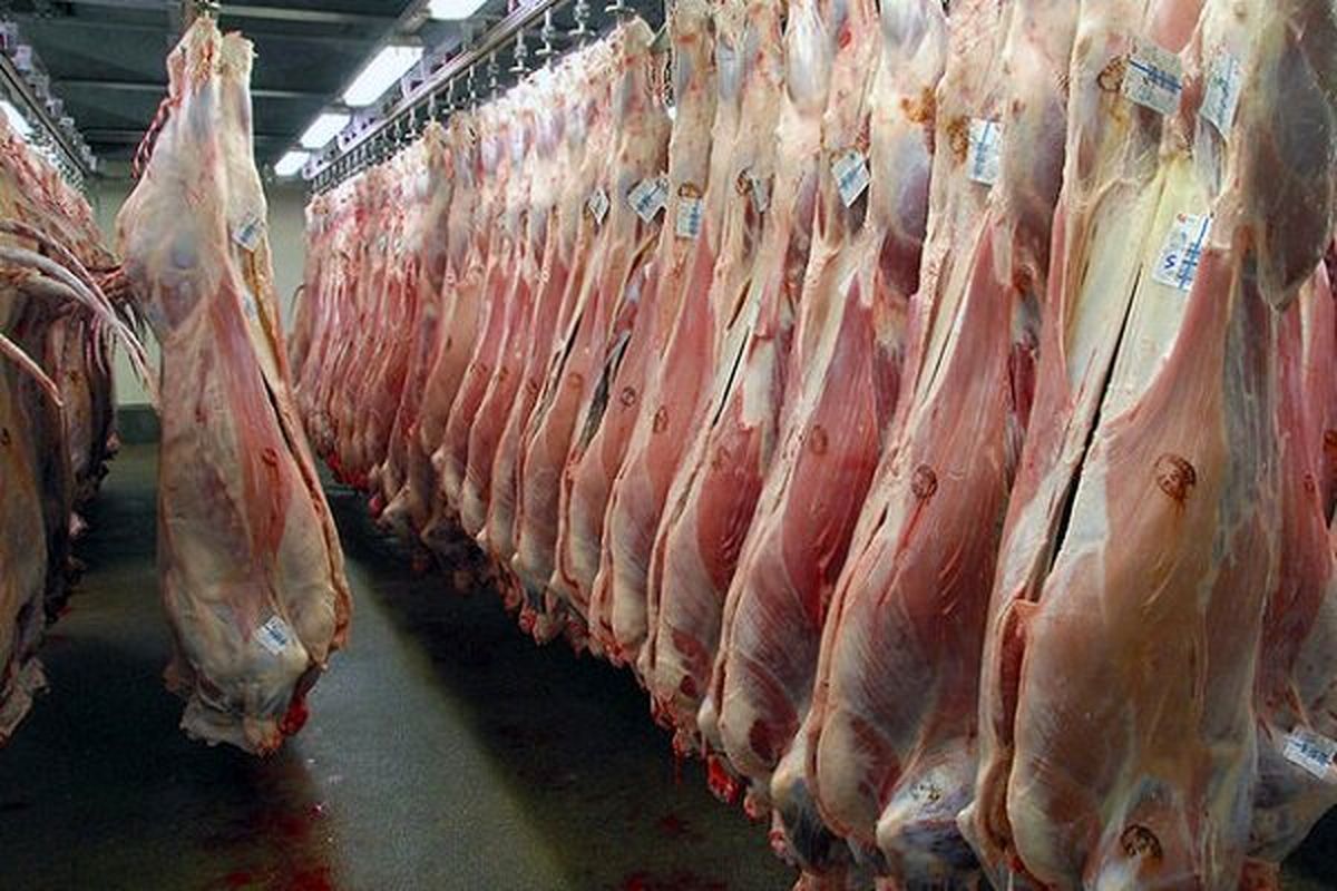 قیمت گوشت گوسفندی به ۲۶۰ هزار تومان رسید