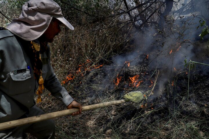 آتش سوزی در جنگل‌های تنکابن