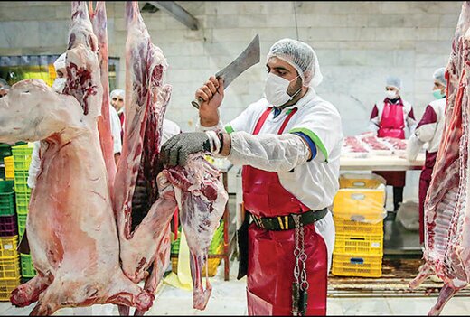 چرا گوشت گران‌تر شد؟