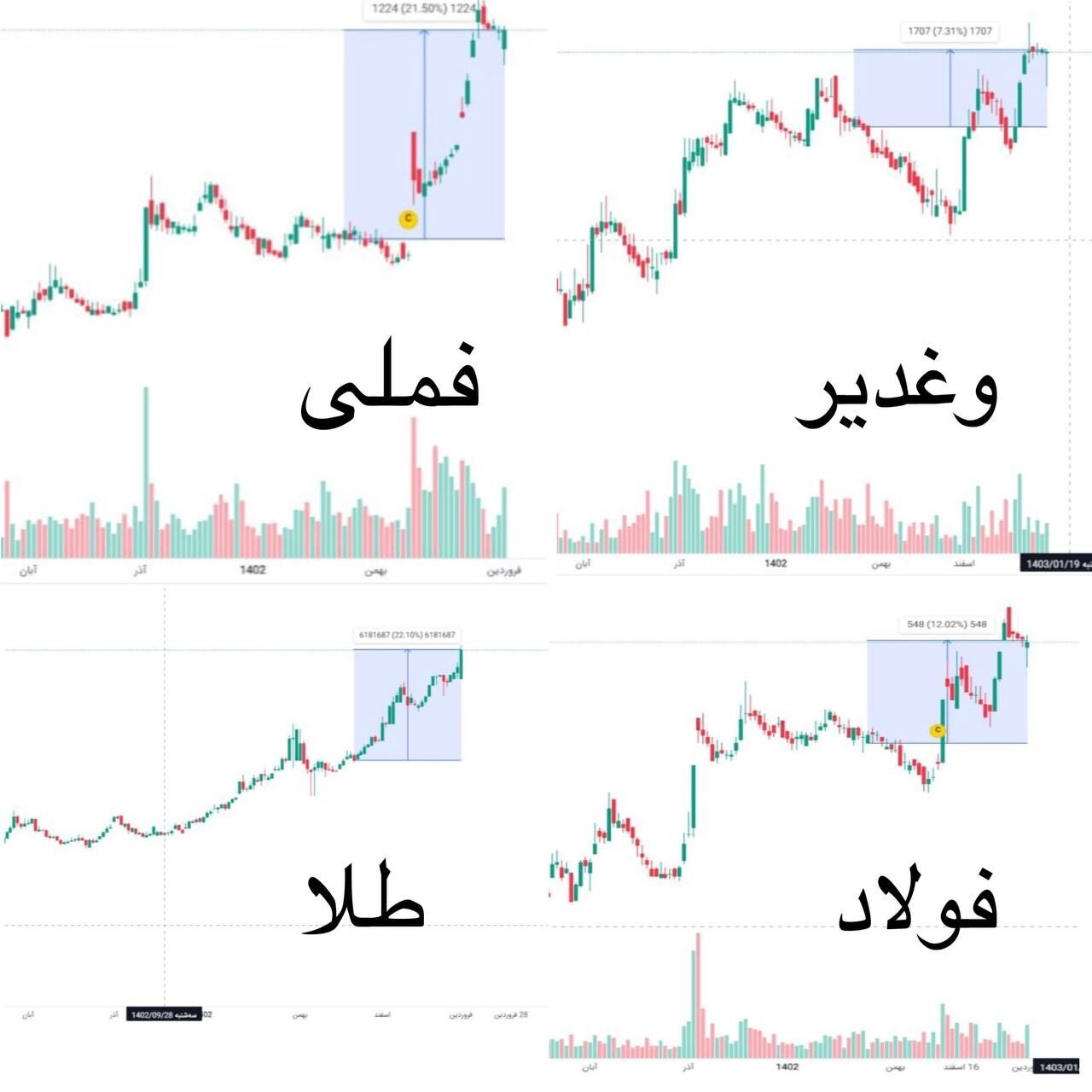 کدام نماد‌های بورس سبد سهامداران را امسال بیمه می‌کنند؟