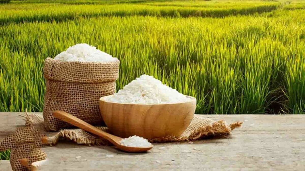 قیمت برنج افزایش می‌یابد؟