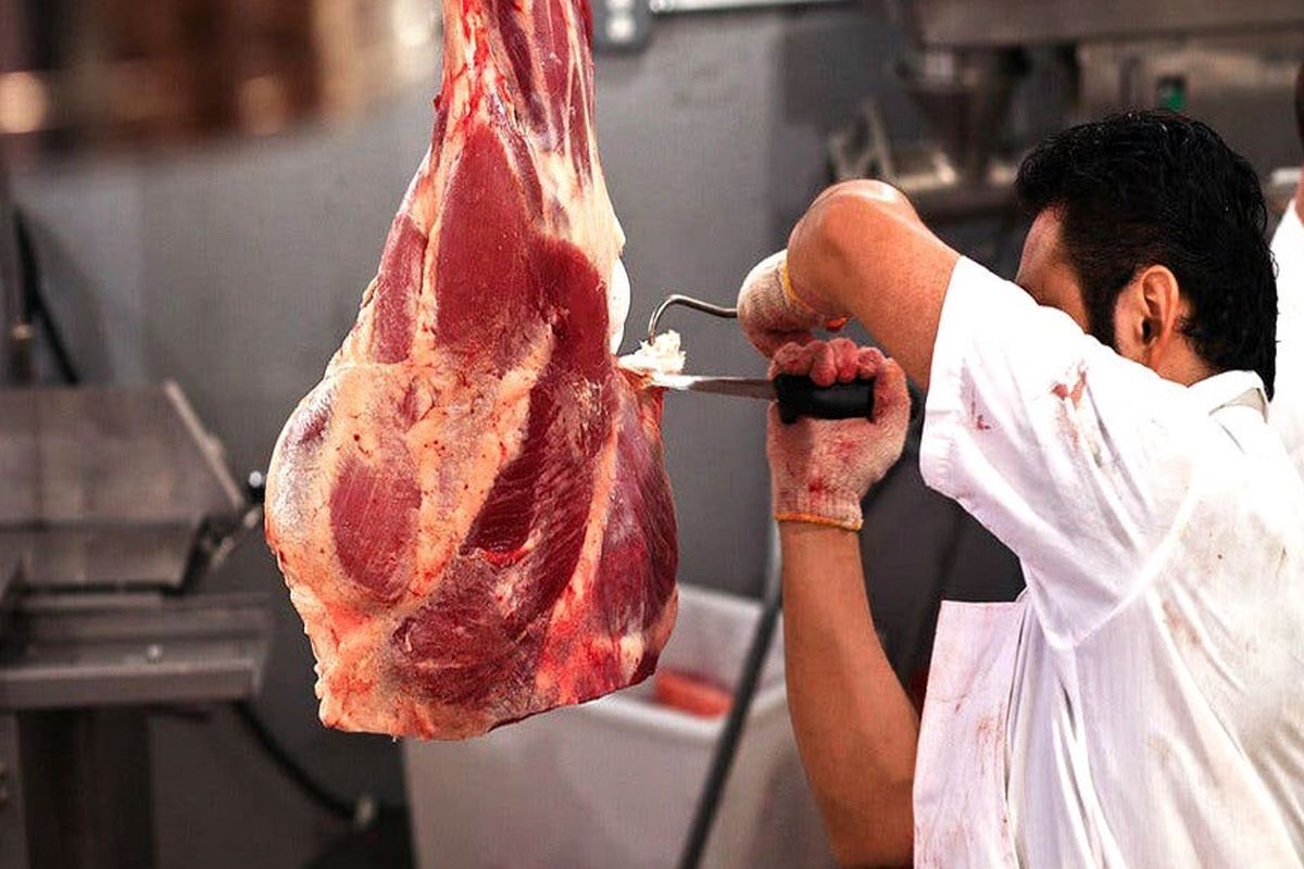 جزئیات عرضه گوشت گرم در ایام عید نوروز